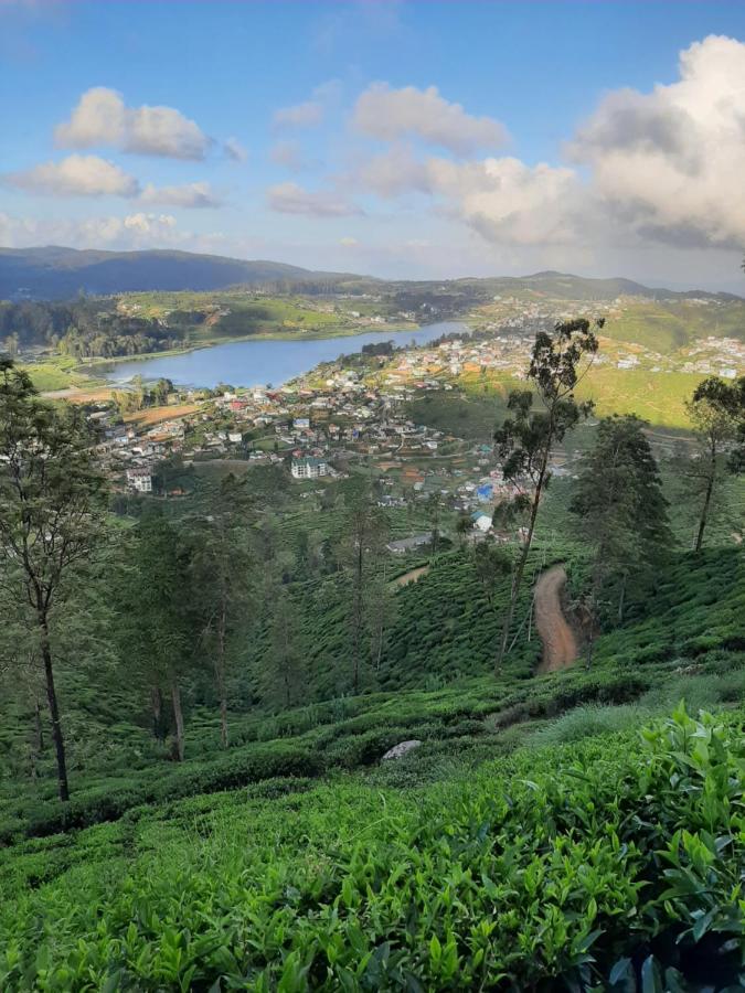 Summer Glow Guest - Nuwara Eliya Dış mekan fotoğraf
